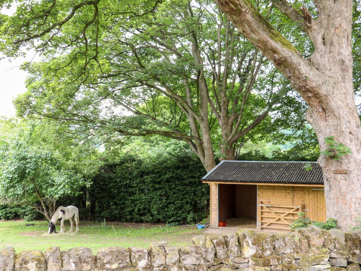 Bluebell Cottage Alfreton Zewnętrze zdjęcie